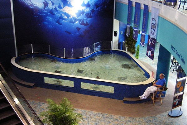 Tampa Tank